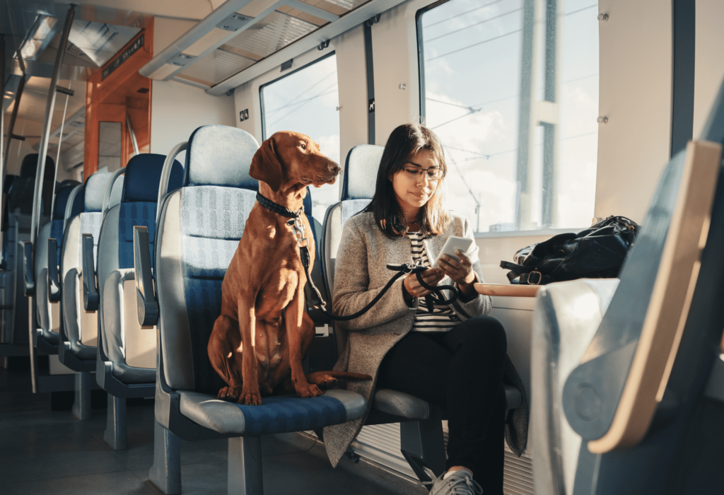 A Thorough Guidance On Amtrak: When Your Furry Pet Dog Needs This Service?