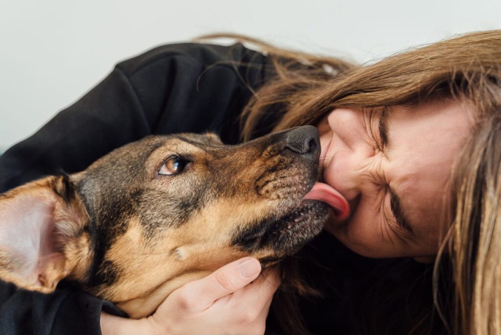 Hey Why Do Dogs Lick You?