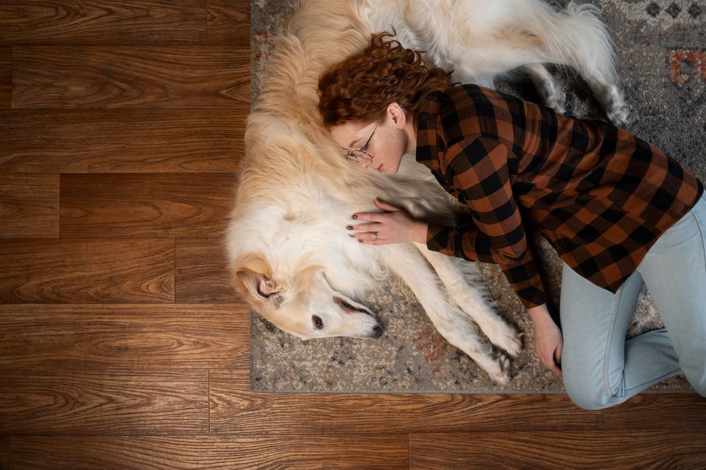 Dog Sleeping Positions With The Owner?